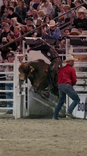 Chance Schott at the Train Station Rodeo Event