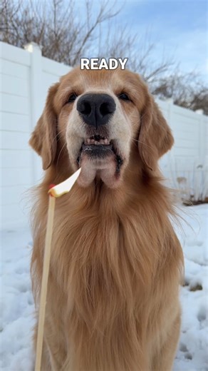 We Had No Choice! | Tucker Budzyn