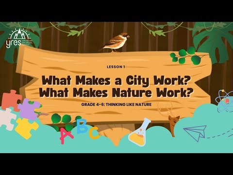 🌿 Biomimicry for Kids | Virtual Science Lesson