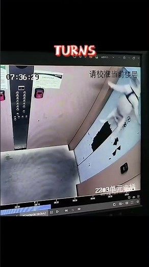 Owner Loses Dog to an Elevator—What Happened Next?