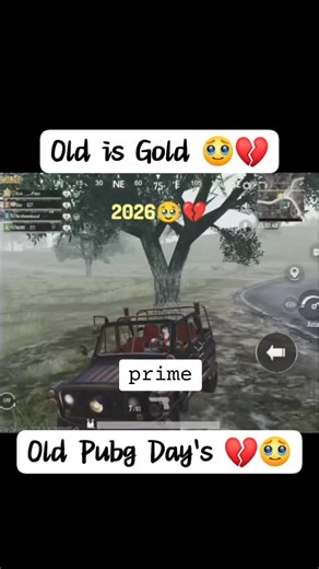 in serch of gold we lost diamond 🥺#back #pro #pubgmobilenextprogramer #pubgmobile