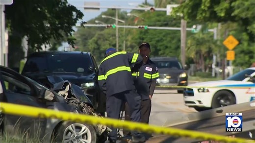 Homeland Security Investigations traffic stop ends in crash
