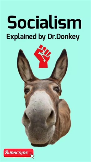 Socialism , Explained by Dr.Donkey 🫏