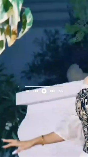 تصميم فيديوهات جزائري: أفكار وإلهام لفيديوهاتك 🎬🇩🇿