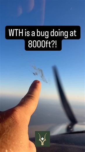 The Wildlife Vet on Instagram: "Why in the world was it necessary for a bug to be at 8000 feet in the air?!"