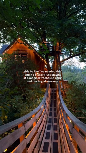 Renee Hahnel on Instagram: "I’m convinced this is the most magical treehouse rental in the world 🥹 Comment “treehouse” and I’ll message you the details! We didn’t want to leave & will most definitely be returning for another cozy stay or reading retreat 🌲📚✨"