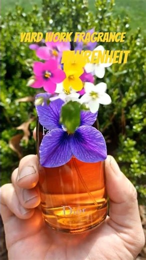 Fahrenheit edt Dior #fragrance