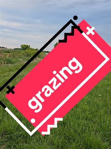 this app is really cool, free, and great for logging data #beef #ranching #sheep #horses