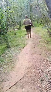 Nature Walk on Royal Chundu Island 🏝 👌 Royal Chundu Zambezi River Lodge | Anita Munamonga