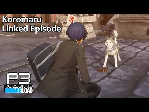 All Koromaru Linked Episode - Persona 3 Reload
