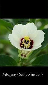 Pollination and its types #agriculture #biology #botany #biology #insects #science #genetics