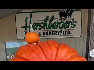 Amish Country 🍞🏯 Trip - Bakery & Shops & Food Ect.