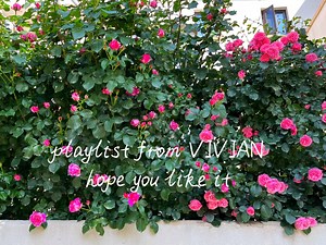 playlist/中日英韩歌单杂烩|老仙曲合集 抒情歌曲|节奏沦陷 音色流氓|旋律/POP/温柔/氛围感|放松/学习/工作/刷题/散步/洗澡