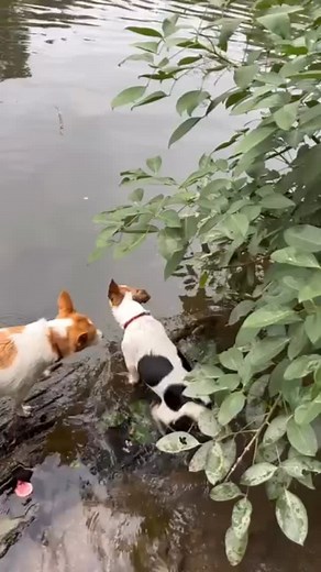 19 reactions | And ….. GO! | Kathryn Libby Rose | Facebook