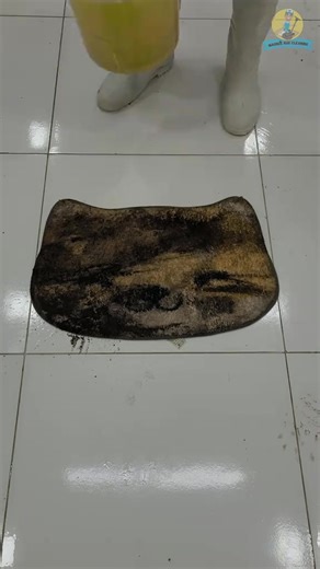 142Cleaning Satisfying Filthy Cat Carpet #asmrcleaningvideo #rugcleaning #satisfyingvideos #carpetwashing #explore #cleaning #asmrsounds #CLEANING #asmrcleaning #asmrcarpetcleaning | Dayton Gillespie