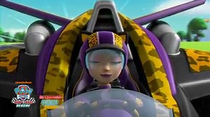 Paw Patrol: Ready Race Rescue