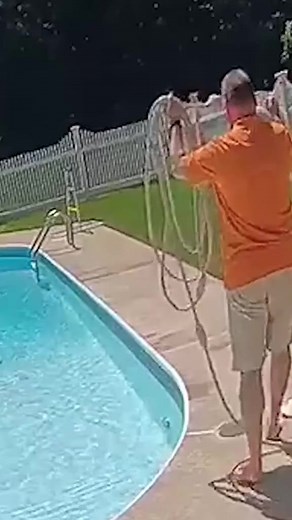 Ring cam fail videos are our favorite! 😂 #fyp #fails #failarmy #funnyfails #funnyclips #ringcam #ringcamera | America's Funniest Home Videos