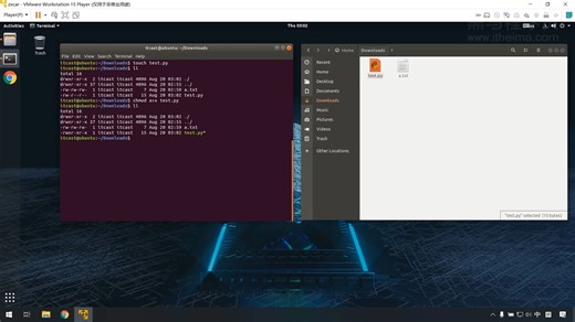 13_Linux命令文件权限