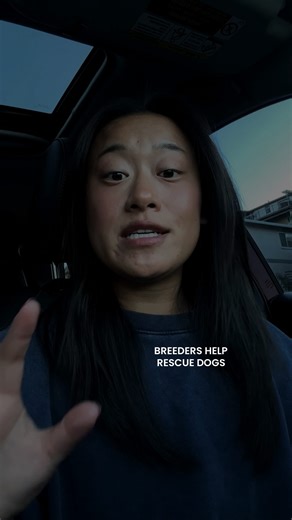 Jas | DOG TRAINER on Instagram: "Here are 4 reasons why the adopt don’t shop movement needs to embrace buying dogs from breeders as a viable option: 1. Reputable breeders don’t ADD to the shelter population. 2. Buyers of reputably bred dogs don’t take AWAY from the shelter population. 3. Education should be the priority. 4. Long-term efforts leading to no more shelter dogs requires the presence of reputable breeders. #adoptdontshop #rescuedog #shelterdog #aspca #purebreddog #sportdog #adventured