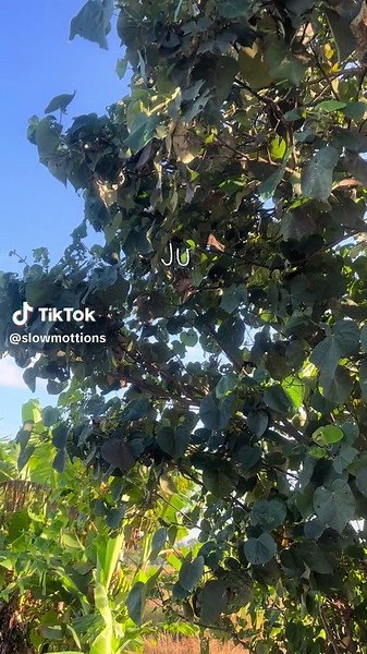 Breathtaking Bali Scenery: Nature's Beauty Unleashed