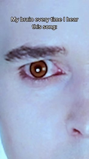 Twilight Song Nostalgia: Every Time I Hear a Twilight Song