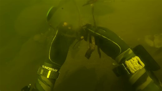 Why calling police was the only option after this find