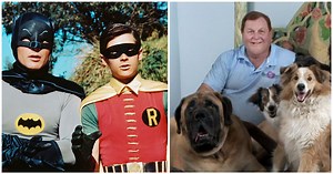 Burt Ward, Robin on classic 'Batman' TV series, now dedicates his life to helping animals — here's how