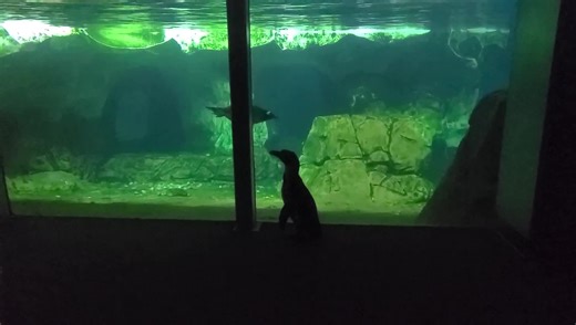 4.2K views · 402 reactions | Here’s to a Thursday full of the best...