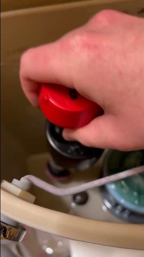 Toilet Fill Valve Replacement DIY Tutorial! #diy #toilet #plumber #plumbing #repair #bathroom