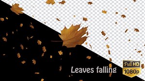 Falling Leaves