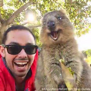 Warning: This video will make you laugh out loud 😂 | Australia.com