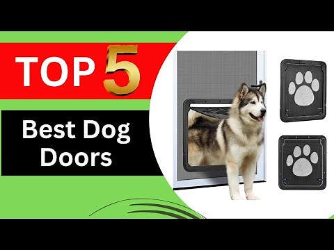 Top 5 Best Dog Doors for 2025 [Tested & Reviewed]