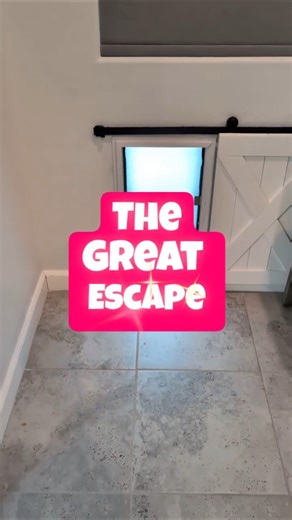 The Great Escape! 🤣 #rascaltheadventurepup