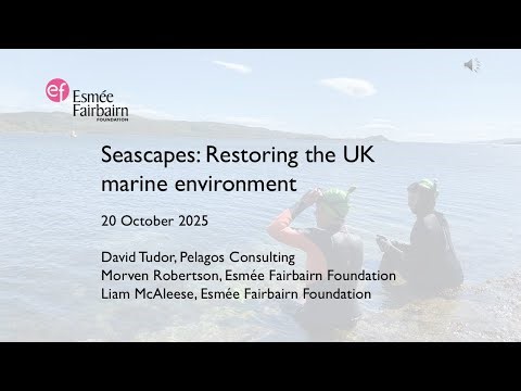 Seascapes: Restoring the UK marine environment