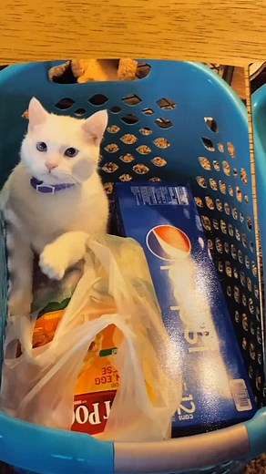 Clay Cooper on TikTok