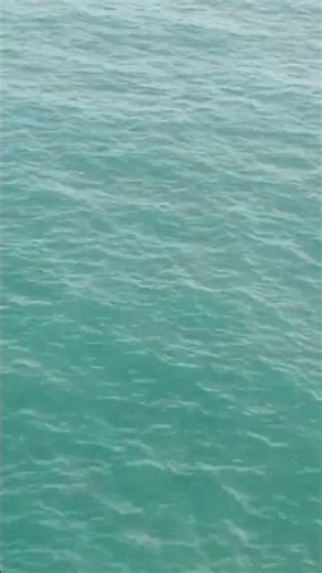 "Discover the life, teachings, and miracles of Jesus – the story that changed the world. ✨✝️ #Jesus