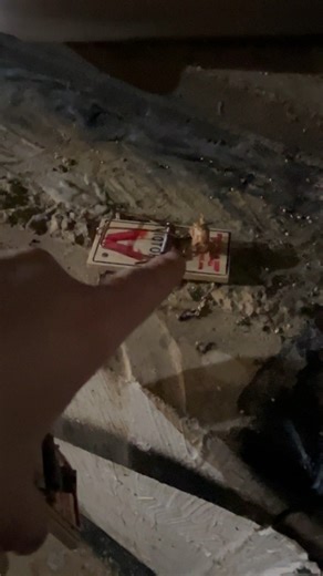 Watch How to correctly bait the victor mouse trap on Amazon Live