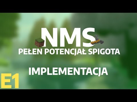 JAK dostać się do NMS w spigot | NMS: Pełen potencjał spigota