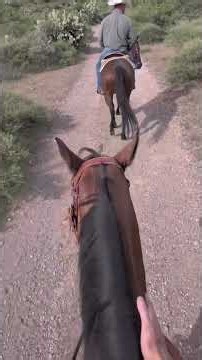 recorriendo la sierra de guanajuato a caballo 🏇⛰️