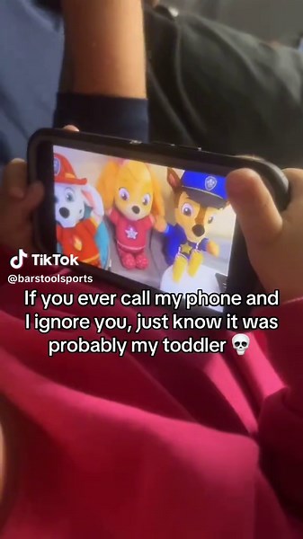 Paw Patrol Moments: No Calls During Action Scenes