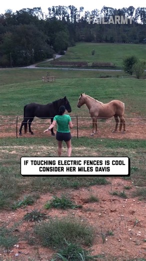 don't whiz on the electric fence 🤣 #electricfence #farm #renandstimpy #fail | FailArmy