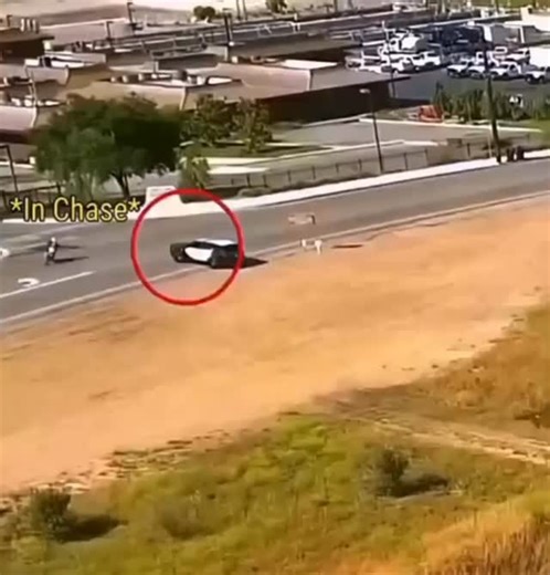 Лучшие приколы про машины по всему миру on Instagram: "В США мотоциклист так сильно хотел сбежать от копов, что сделал безумный прыжок, как в GTA. Парень подлетел на высоту более 10 метров и выжил."