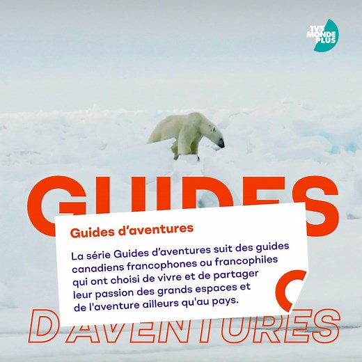 Passionnée par le Grand Nord, Éliane a pu observer des ours polaires lors de son voyage 😍 La série « Guides d’aventures » est disponible sur TV5MONDEplus ❄ tv5m.tv/ukgtq | TV5MONDE