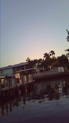 Digital Video Camera Review: Pros and Cons