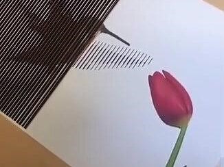 莫列波纹（Moiré pattern），又译为摩尔纹、莫尔条纹、叠纹、水状波纹，是一种在栅栏状条纹重叠下所产生的干涉影像。