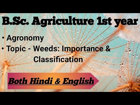 Weeds: Importance & classification | Agronomy | B.Sc. Agri. 1st year | Explained in Both & English