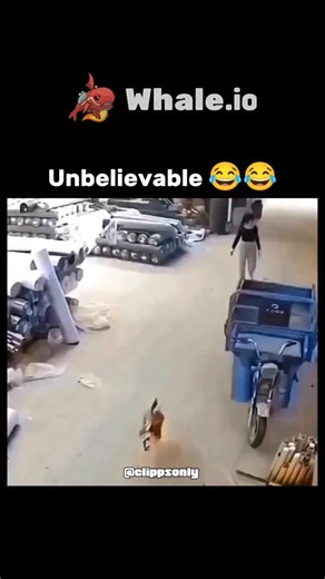 Trend on Instagram: "This post features a 19-second video clip from @nocontextmemes showing a woman in a warehouse clumsily chasing and slipping while trying to catch a loose chicken, overlaid with ironic Linkin Park's "In the End" lyrics for comedic effect. Posted on 26 December 2025, it quickly amassed over 37,000 likes and 1.4 million views, exemplifying the account's style of decontextualised absurd videos that blend physical comedy with pop culture references. Replies reveal a split in rece