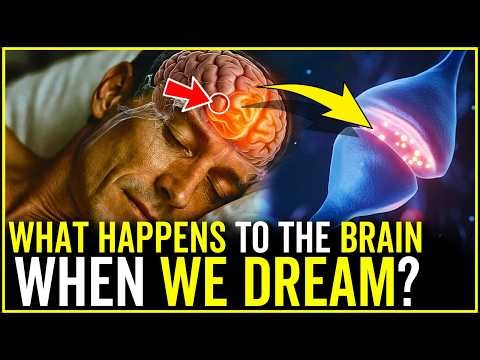 What Happens To The Brain When We Dream? How Do Dreams Work?