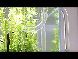 【チャーム】Leaf Corpオリジナル クリアパイプ・ストレーナー 使用イメージ