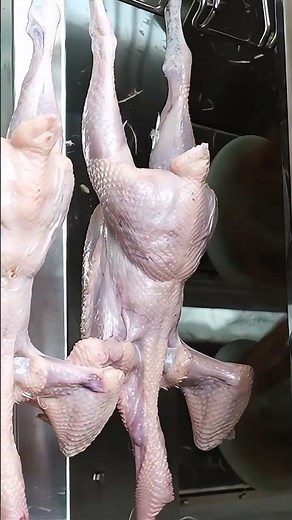 Revolutionize Your Poultry Processing with Eruis's 6-Direction Adjustable Plucking Machine!